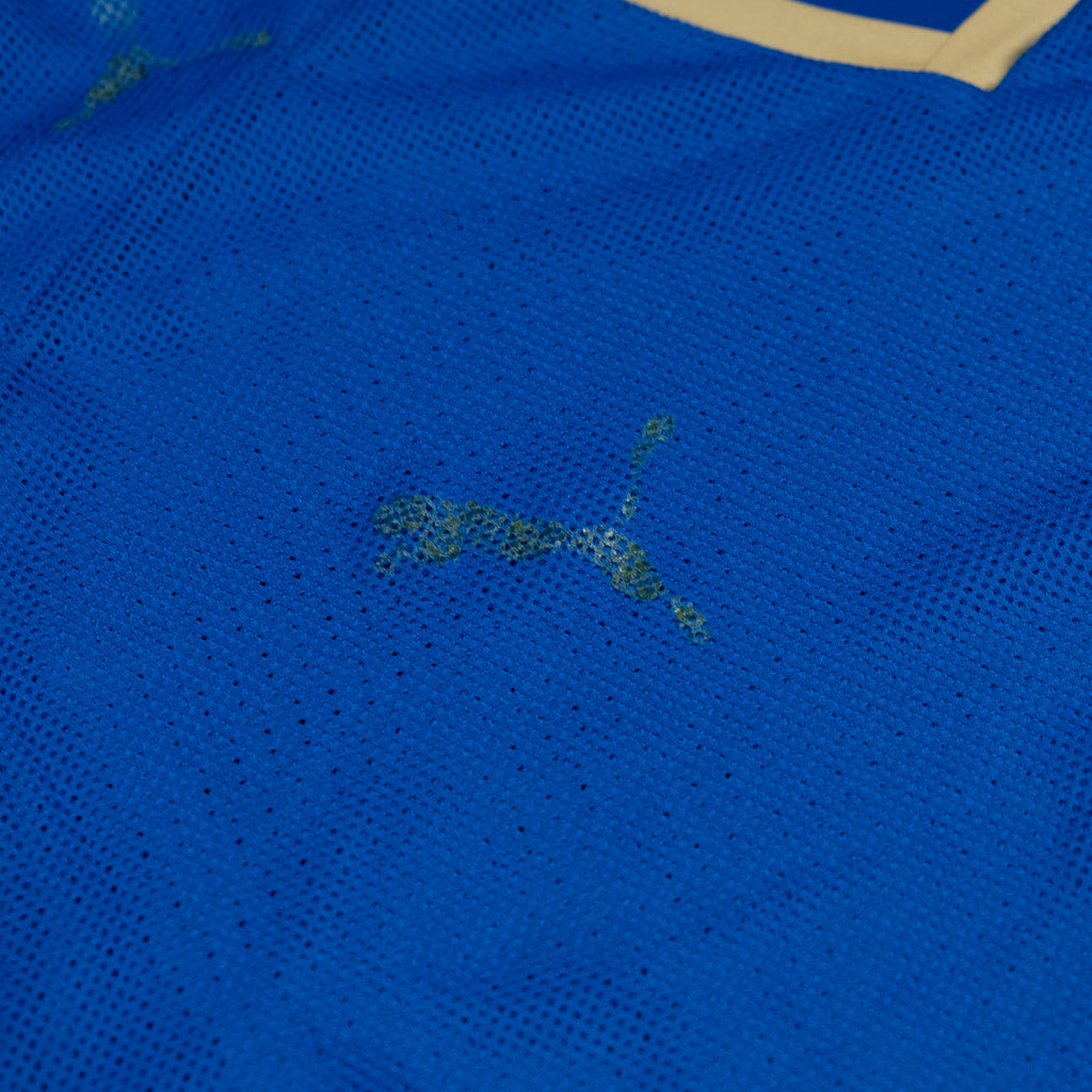 Italia Trainingsjersey (M)