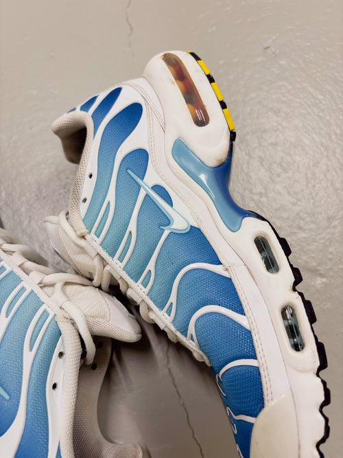 Nike TN (42-43)
